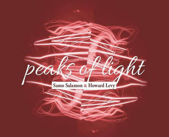 Samo Salamon & Howard Levy - peaks of light - predogled