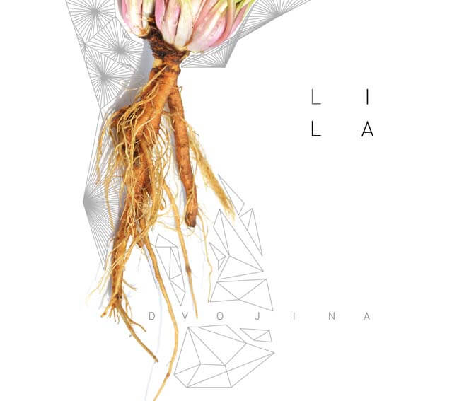 Dvojina - Lila