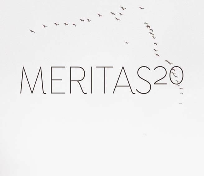 Meritas - 20